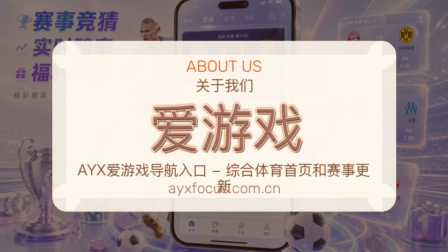爱游戏关于我们